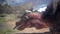 Monster Hunter: World (PS4) Vorschaubild