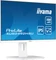iiyama ProLite XUB2492HSU-W6, 23.8" Vorschaubild