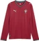 Puma FIFA WM 2026 Portugal Heimtrikot langarm (Herren) Vorschaubild