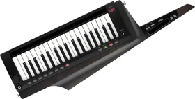 Korg RK-100S2 Keytar schwarz