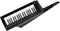 Korg RK-100S2 Keytar Vorschaubild