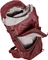 Vaude Asymmetric 38+8 Modell 2022 dark cherry (Damen) Vorschaubild