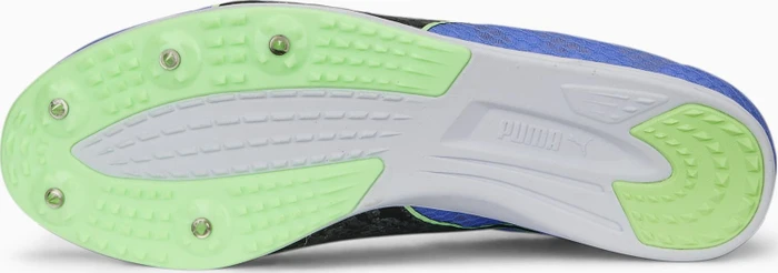 Puma evoSPEED Distance 11 elektro purple/puma black/fizzy lime