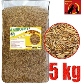 Ambiopet Soldatenfliegenlarven, 5kg