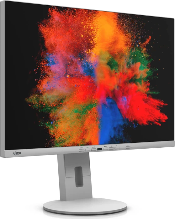 Fujitsu P-Line P2410 WE, 24.1"