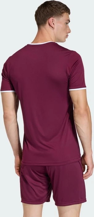 adidas Entrada 26 Trikot kurzarm team maroon 2/white (Herren)