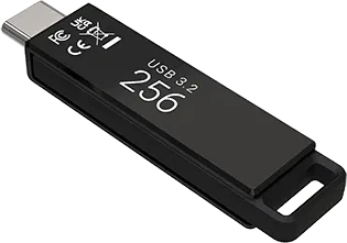 PNY Elite-X Type-C 256GB, USB-C, USB 3.2 Gen 1×1