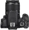 Canon EOS 650D mit Objektiv EF-S 18-55mm 3.5-5.6 IS II Vorschaubild