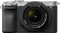 Sony Alpha 7C II silber mit Objektiv FE 28-60mm 4.0-5.6 Vorschaubild