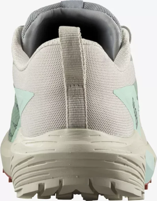 Salomon Sense Ride 5 lily pad/rainy day/bleached aqua (Herren)
