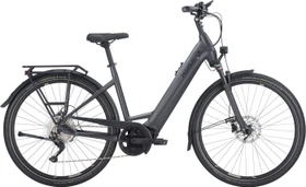 Pegasus Premio Evo 10 Lite 500Wh black chrome matt/black matt Modell 2023