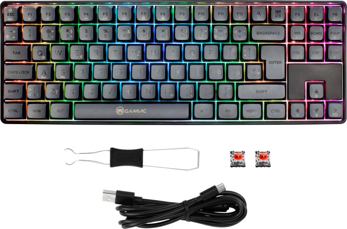 Gamiac TKL90G Gaming Keyboard, schwarz/grau, LEDs RGB, Kailh RED, USB, DE