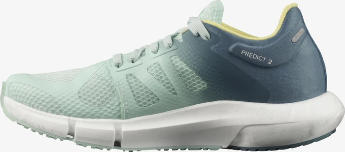 Salomon Predict 2 icy morn/copen blue/charlock (Damen)