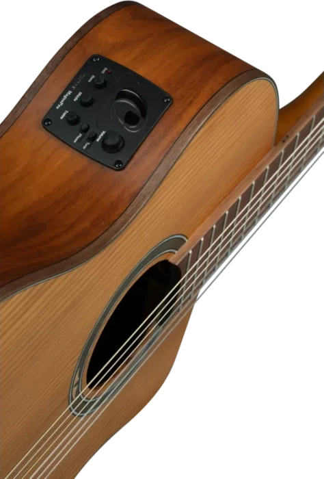 Ortega RCE23RO