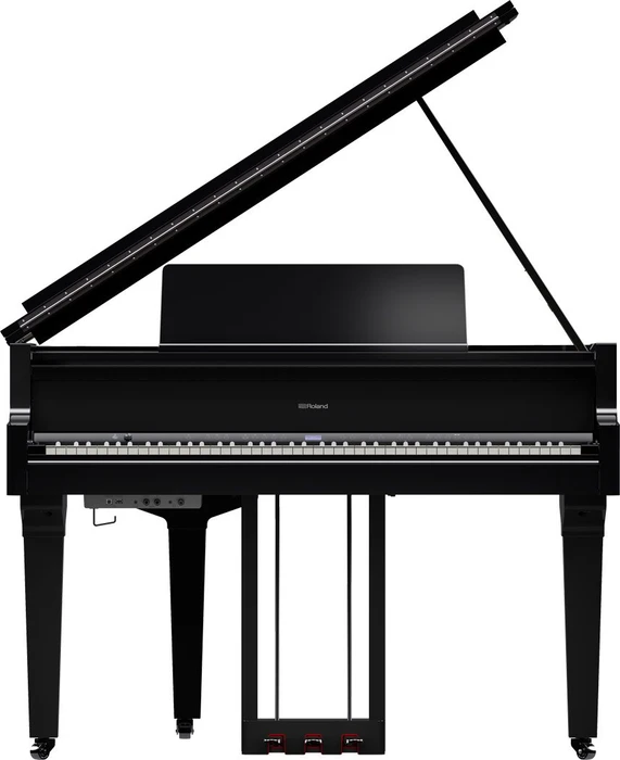 Roland GP-9 schwarz