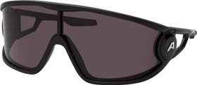Alpina Legend black matt/black