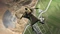 Battlefield 2042 (PC) Vorschaubild