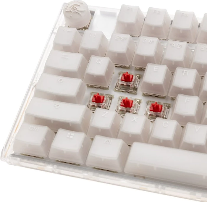 Ducky One 3, Aura White, LEDs RGB, MX RGB RED, USB, US