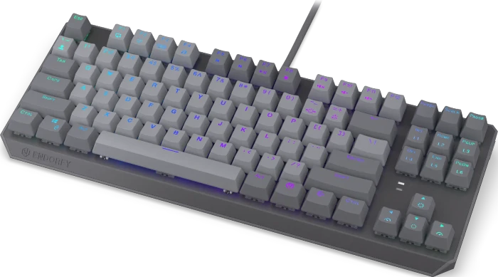 Endorfy Thock V2 TKL, PBT, grau, LEDs RGB, hot-swap, Endorfy RED, USB, US