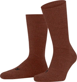 Falke Walkie Ergo Socken terra