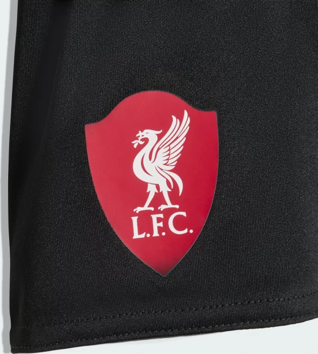 adidas Liverpool FC 2025/2026 Auswärtsausrüstung (Junior)