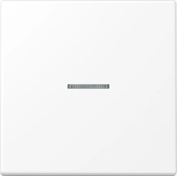 Jung Serie LS eNet Taster Standard 1fach Duroplast, schneeweiß matt