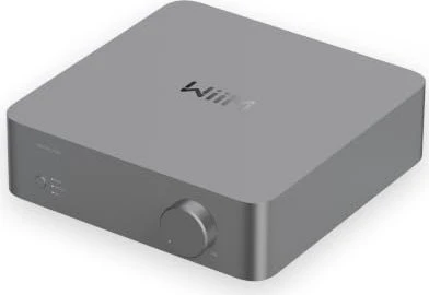 WiiM Vibelink Amp grau