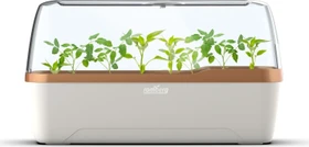 Romberg BoQube Indoor creme/kupfer