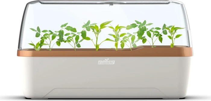 Romberg BoQube Indoor creme/kupfer