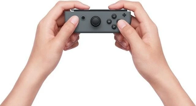 Nintendo Switch (2019) schwarz/grau