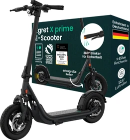 Egret X Prime Elektro-Roller 20km/h