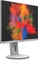 Fujitsu P-Line P2410 WE, 24.1" Vorschaubild