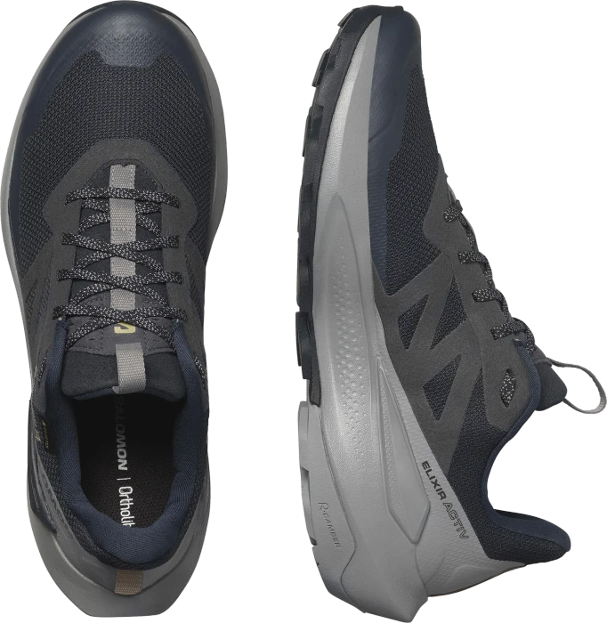 Salomon Elixir Activ GTX carbon/sharkskin/slate green (Herren)
