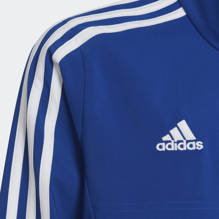 adidas Condivo 22 Präsentationsjacke royal blue/white (Junior)