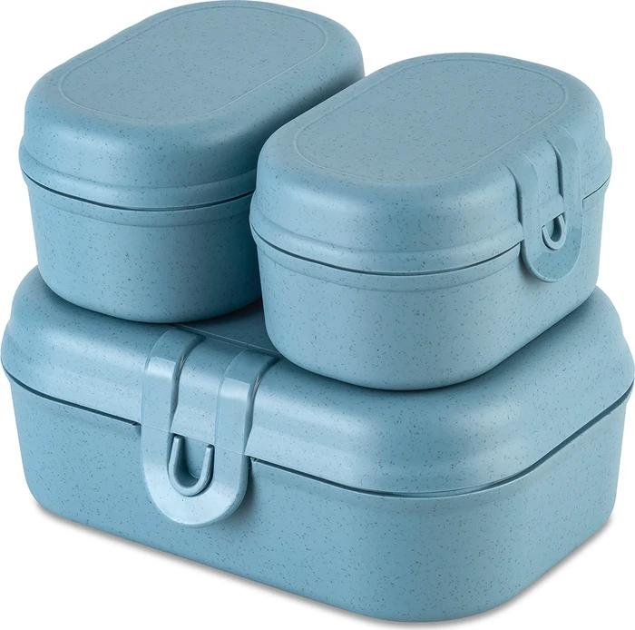 koziol Pascal Ready Mini Lunchbox und Besteck Geschirrset nature flower blue