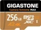 Gigastone Camera Extreme MAX microSDXC Series Vorschaubild