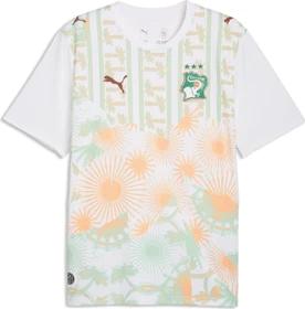 Puma FIFA WM 2026 Elfenbeinküste Auswärtstrikot kurzarm puma white/warm chestnut (Herren)