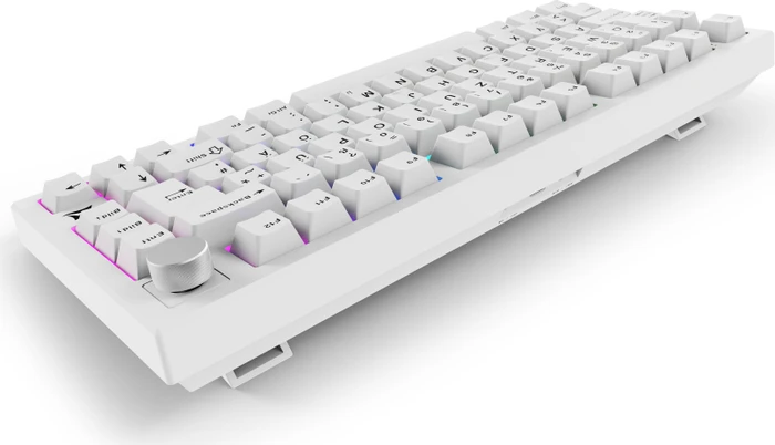 Sharkoon Skiller SGK55W, weiß, LEDs RGB, hot-swap, Sharkoon Linear, USB, DE
