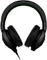 Razer Kraken Pro schwarz Vorschaubild