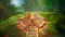 Dragon Quest I & II HD-2D Remake (PS5) Vorschaubild