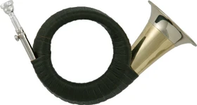 Roy Benson Fürst Pless-Horn HH-101