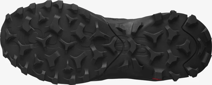 Salomon Madcross GTX schwarz (Herren)