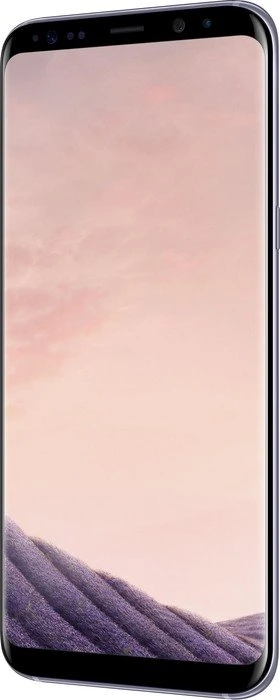 Samsung Galaxy S8+ G955F grau