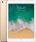 Apple iPad - 5. Generation / 2017 Vorschaubild