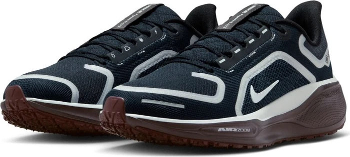 Nike Pegasus 41 Gore-Tex (Damen)