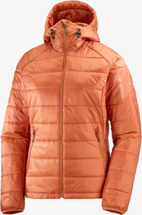 Salomon Outline Hooded Jacke (Damen)