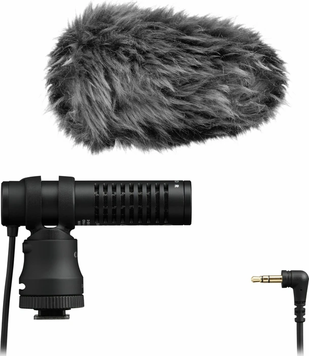 Canon DM-E100
