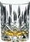 Riedel Tumbler Collection Spey Whiskyglas, 2 Stück Vorschaubild