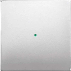 Busch-Jaeger Wippe 1-fach ohne Bedruckung, edelstahl