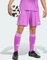 adidas Tiro 24 Shorts purple burst (Herren) Vorschaubild